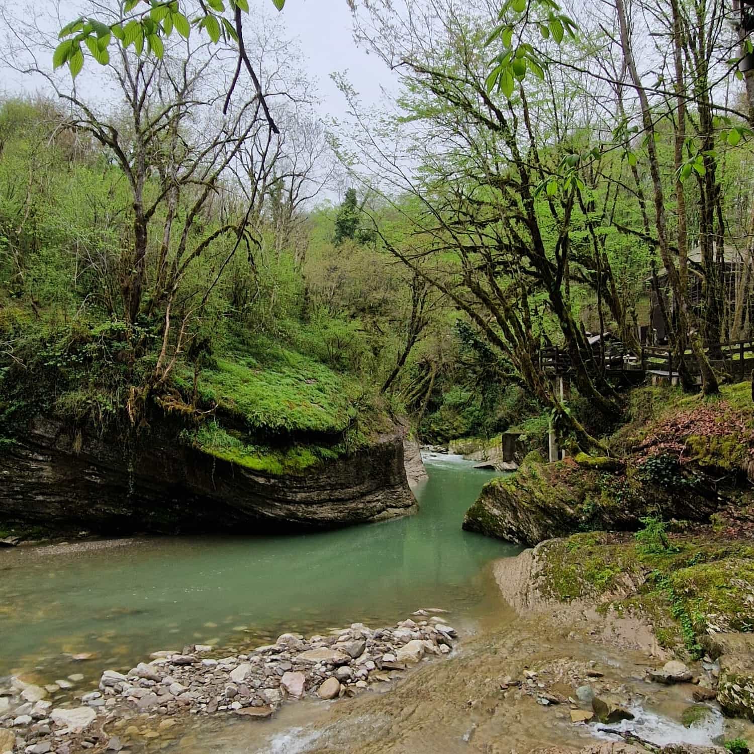 Конная прогулка в Адлере — фото 36