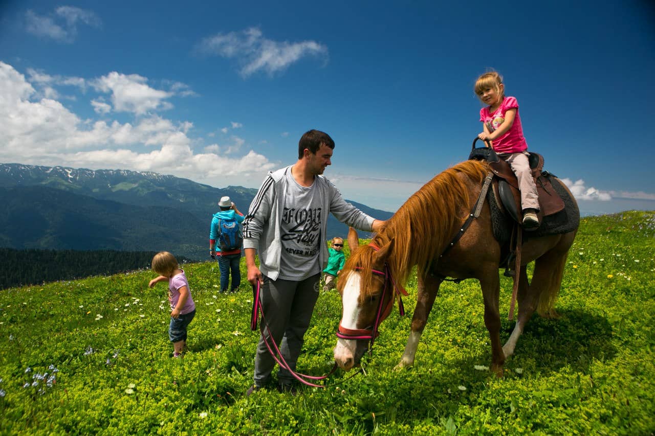 Сезон 2026 в Horses Sochi: что нового и как забронировать