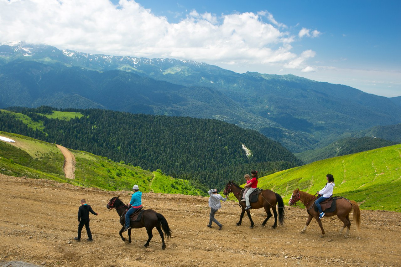 Конная прогулка с ребёнком на Красной Поляне, хребет 2 200 м